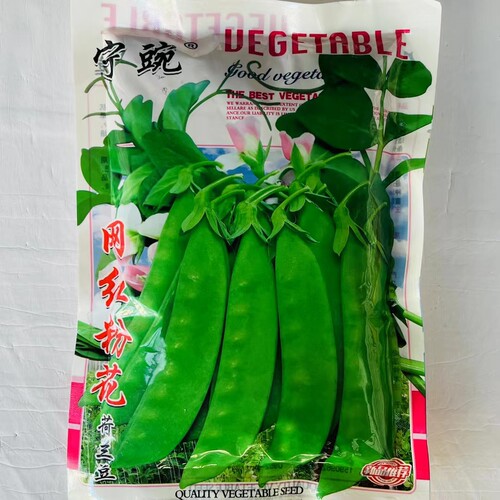 原装绿豌豆种籽豌豆尖大青豆蚕豆毛豆种孑荷兰豆菜豆玉米种子高产 - 图0