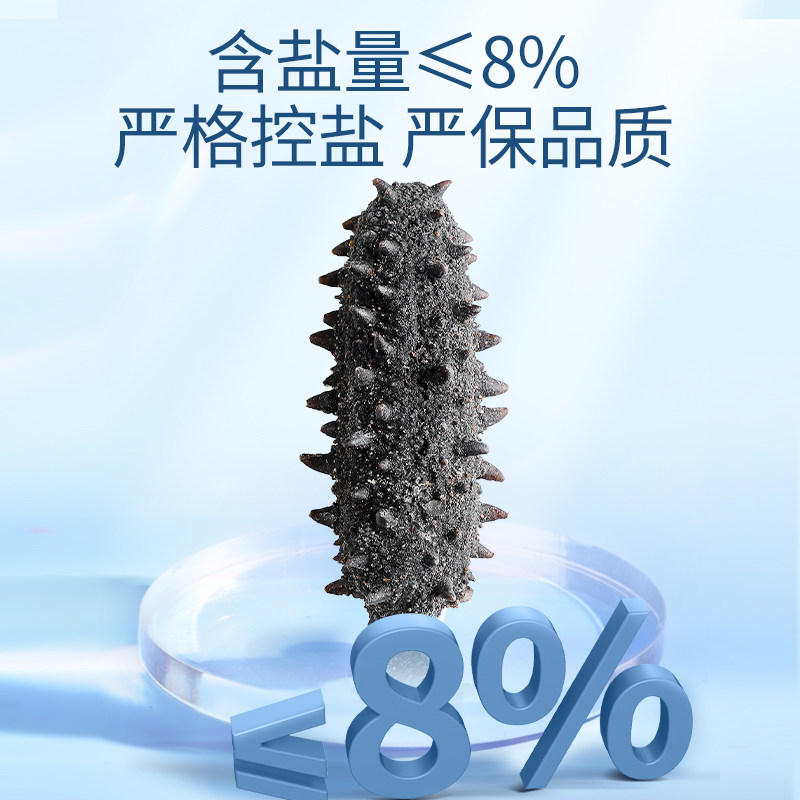 北京同仁堂海参净制干海参100g礼盒 北京同仁堂健康干品/即食海参