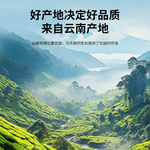 【正宗同仁堂品牌】北京同仁堂天麻干货500g云南天麻非野生旗舰店 - 图1