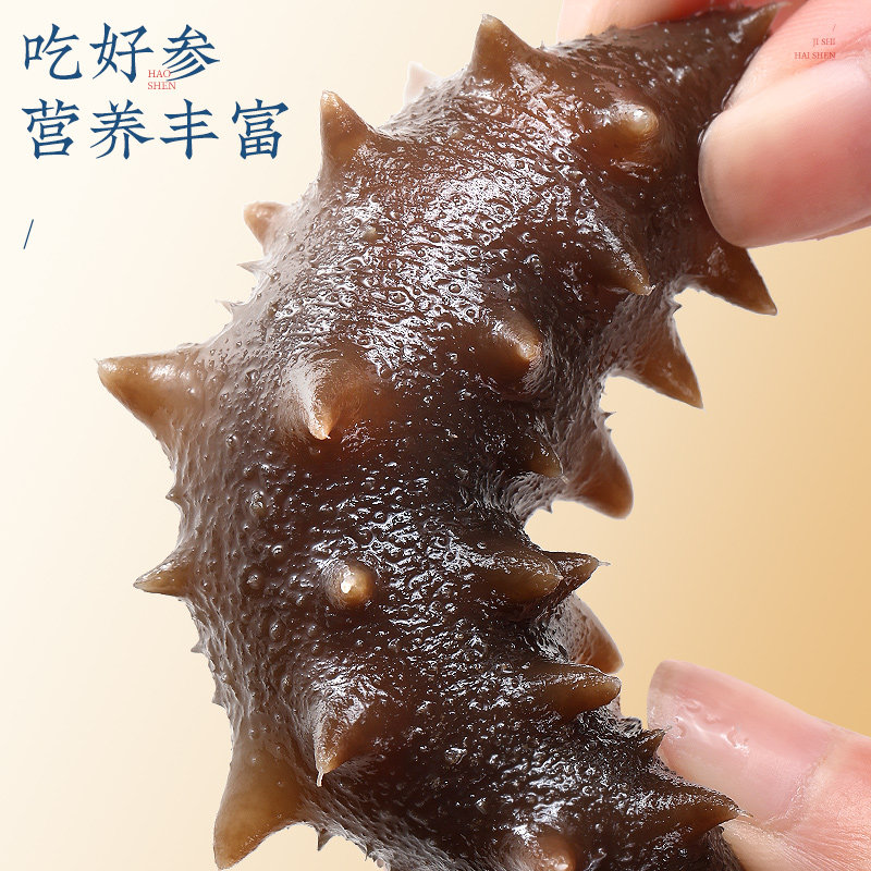  北京同仁堂健康干品/即食海参