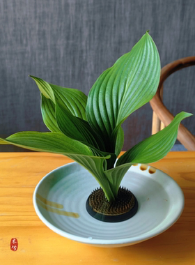 花器陶瓷花盘 禅意日式插花中式茶席花插小原流池坊花盆送剑山