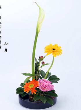 花盘陶瓷禅意日式风黑色花盆