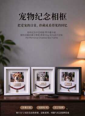 宠物纪念相框中空立体摆台挂墙狗狗猫咪项圈名字牌收藏展示框