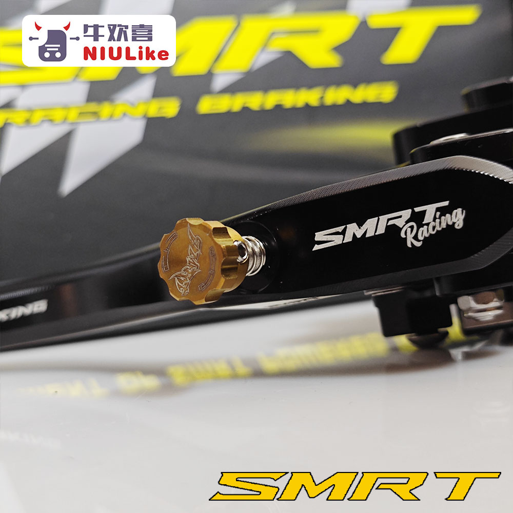 SMRT M08 直推上泵 AE4电自电摩AE5ipro 小牛NXT FXT 九号机械师2 - 图3