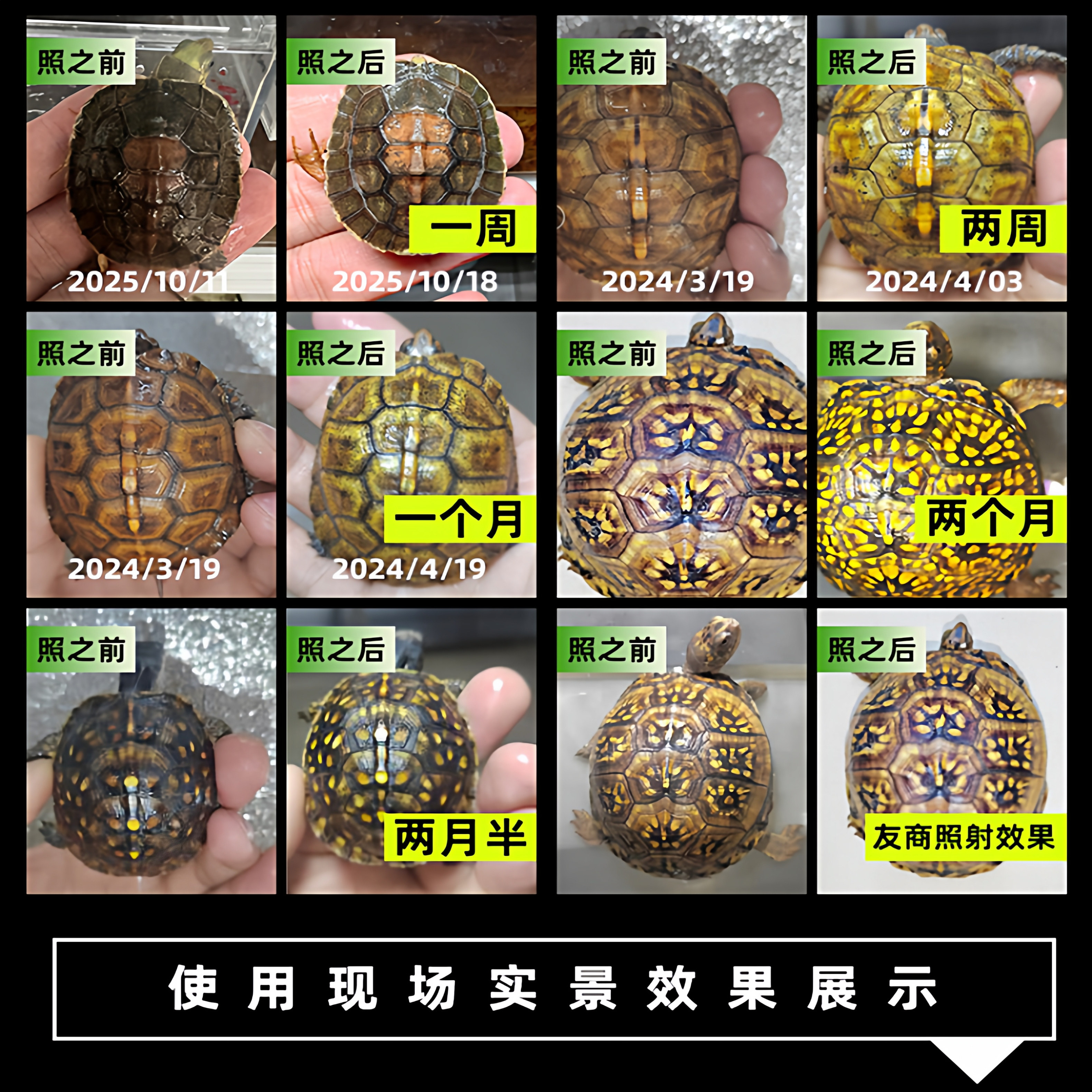 LED乌龟晒背灯全光谱太阳灯UVB灯补钙爬宠蜥蜴防水照龟缸灯泡uva,淘宝优惠券,粉丝福利购,淘宝优惠卷