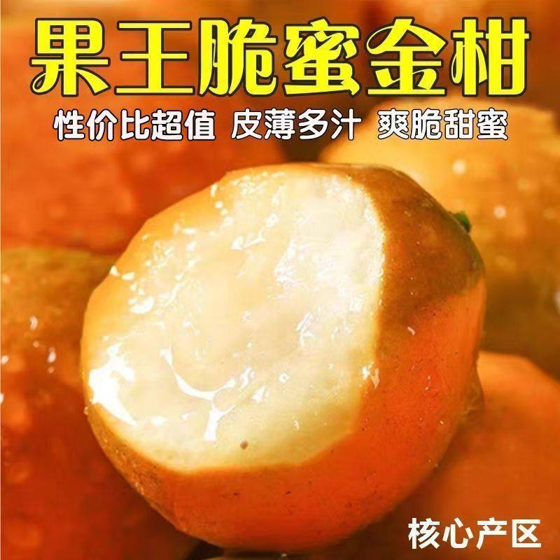 广西融安脆蜜金柑第三代应当季水果金桔鲜果金橘纯甜脆5皮金桔,淘宝优惠券,粉丝福利购,淘宝优惠卷