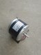 Antelope Little Dolphin ລົດໄຟຟ້າ 24v300w