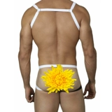 Сексуальные штаны, дышащее нижнее белье, впитывают пот и запах