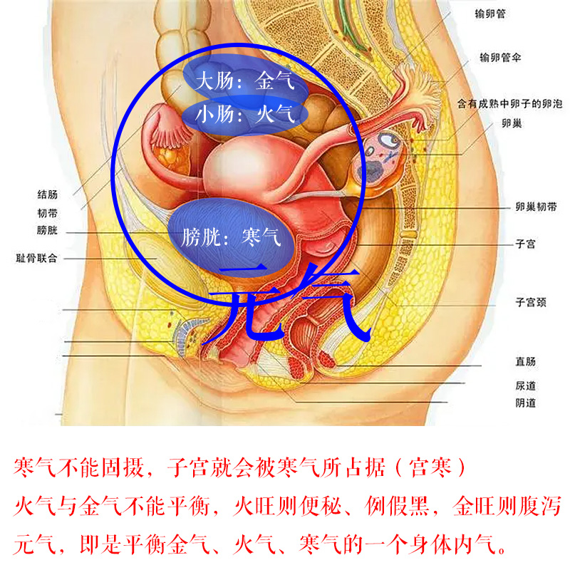 元气清宫平衡金气火气寒气中药理气通络泡脚包泡浴包坐浴包-图0