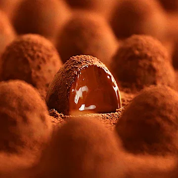 【漏】诺梵松露巧克力258g礼盒*2盒[10元优惠券]-寻折猪