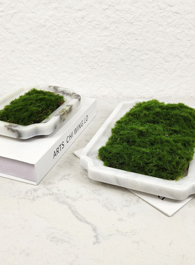 简约现代苔藓摆件样板间售楼玄关