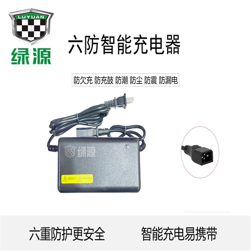 绿源原装电动车电瓶车智能充电器48V60V72V12/20AH-20E30E40E-T2T - 图1