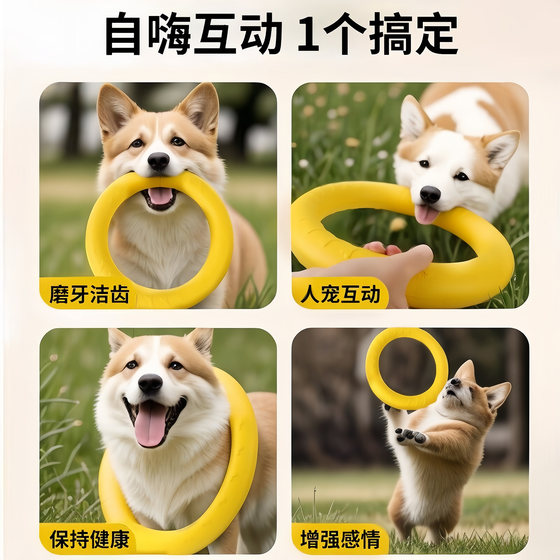 Dog toy ring frisbee interactive pull ring