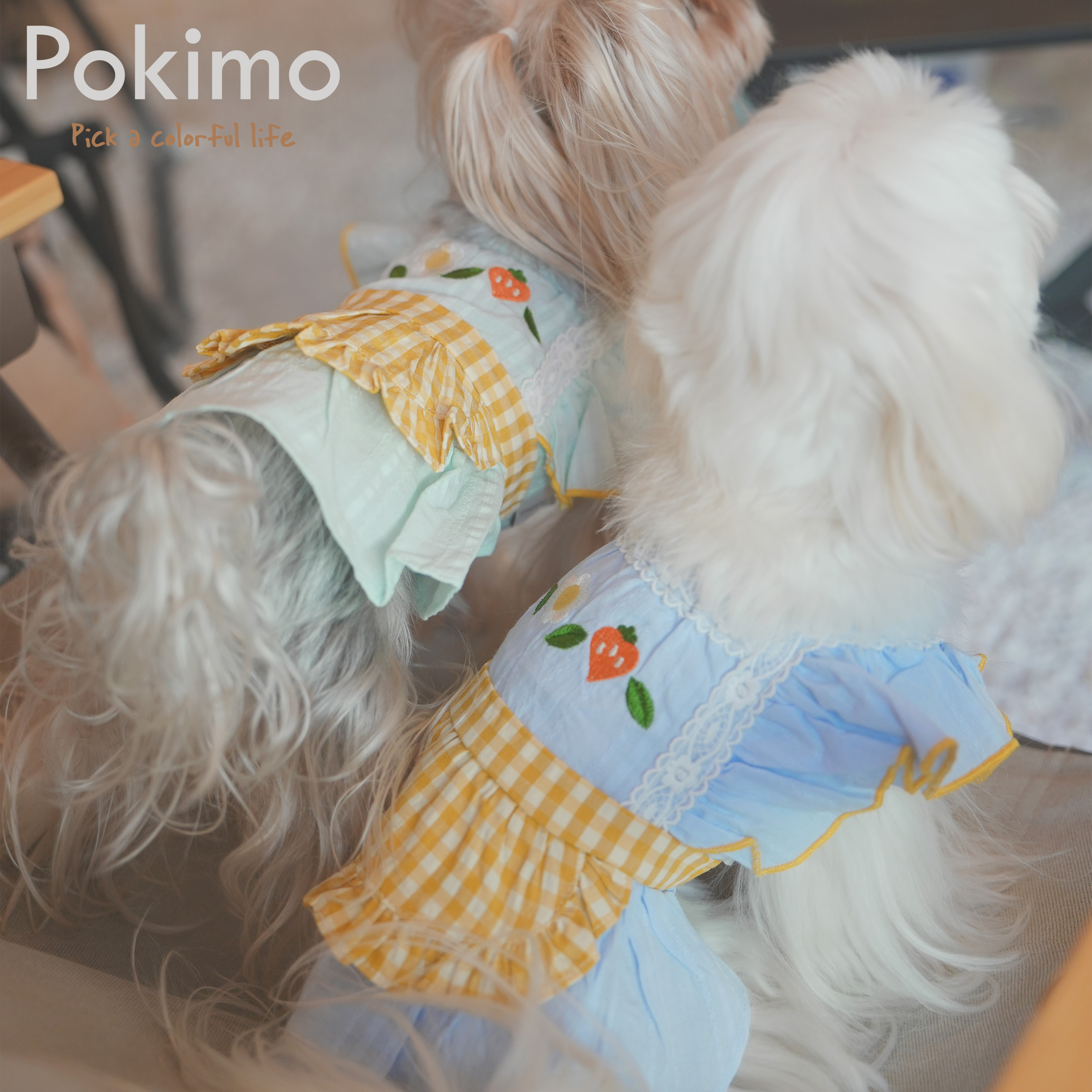 新品PokiMo夏季宠物连衣裙比熊博美马尔济斯围裙狗狗纯棉薄款衣服 - 图1