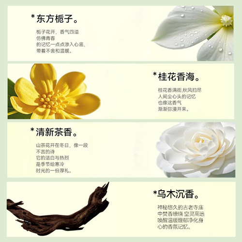 德国衣柜专用香薰 - 图2