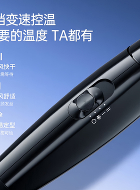 飞科吹风机家庭专用大功率2000W