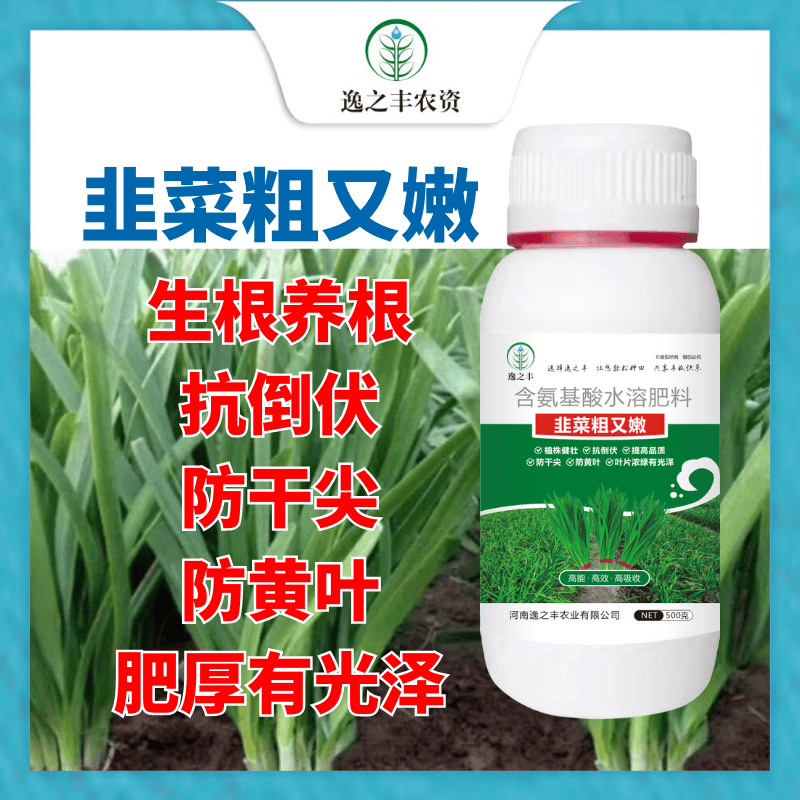 韭菜专用肥韭菜粗又嫩直立挺拔素叶片黑绿硬朗抗倒伏防干尖黄叶等,淘宝优惠券,粉丝福利购,淘宝优惠卷