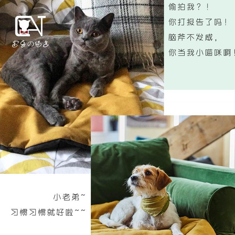 狗窝垫子宠物窝垫座垫车用宠物垫沙发猫咪四季通用布窝棉麻耐咬抓 - 图2