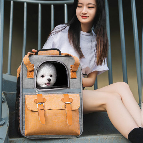 宠物双肩包猫咪手拎提笼子外出中小型犬狗透气大容量背书包便携兔 - 图1