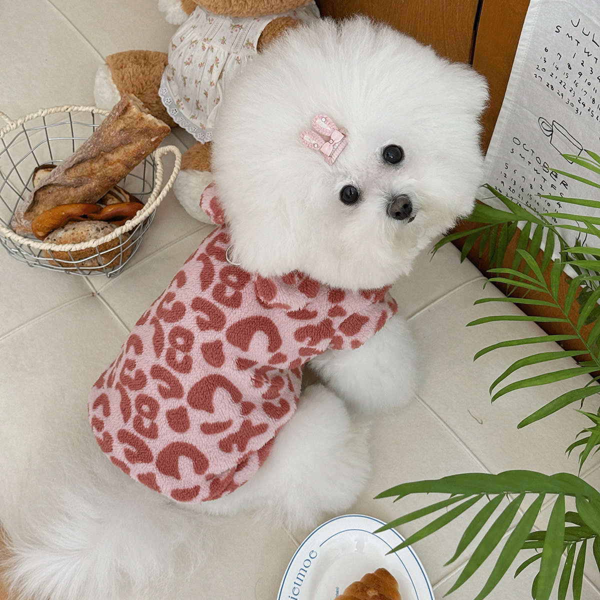 冬季毛绒加厚可牵引宠物衣服两脚衣连帽衫卫衣猫咪小型犬狗狗上衣,淘宝优惠券,粉丝福利购,淘宝优惠卷