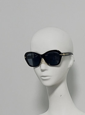 C和H 5510 意产进口定制板材太阳镜 尼龙偏光镜片墨镜 25年订单