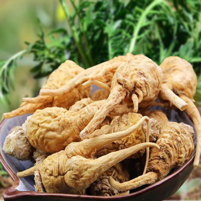 玛咖马卡玛卡种子春季秋季大田早熟抗病菜园盆栽植物四季播药材籽 虎窝淘