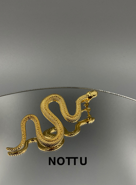 nottu2020新款潮精致耳夹款耳钉