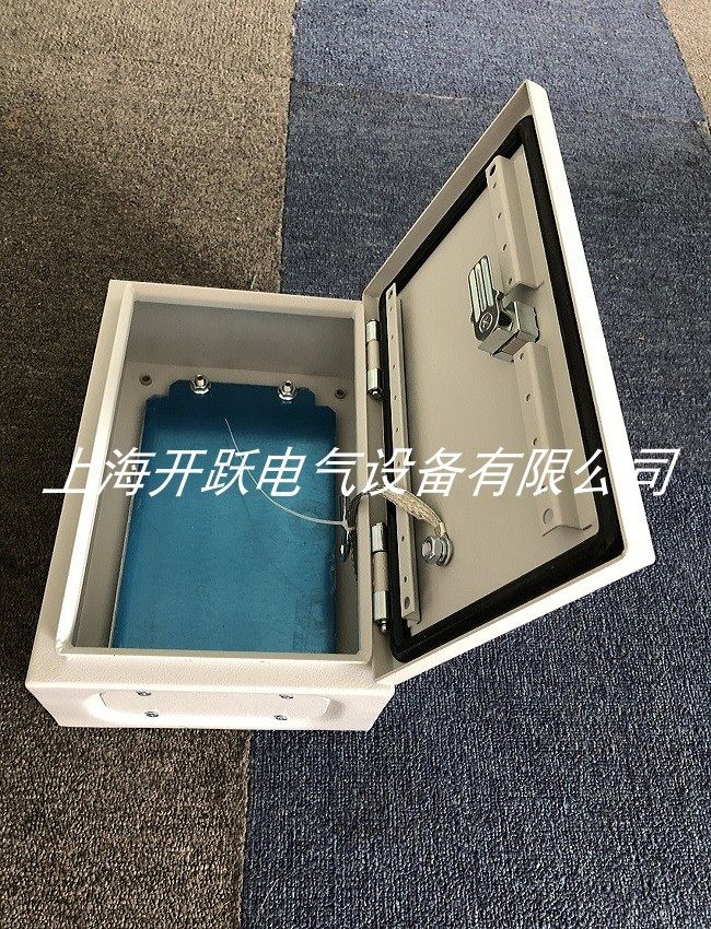 IP65 distribution box is sturdy and cost-effective