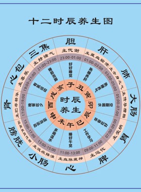 十二时辰养生知识装饰贴