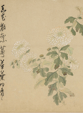 明代孙克弘百花图卷国画花鸟水墨复制画艺术微喷宣纸临摹画稿