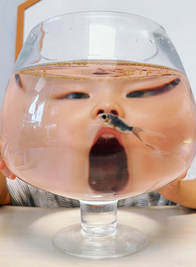 哈哈哈哈鱼缸里藏着一个小朋友~