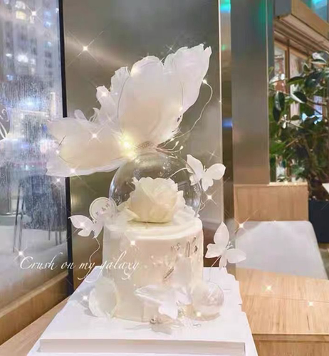 网红大蝴蝶仙女生日蛋糕装饰插件唯美女神羽毛翅膀玻璃罩水晶球 - 图2