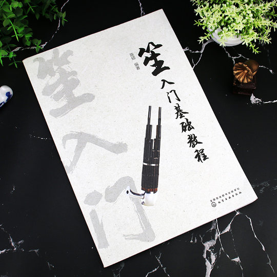 笙入门基础教程 从零起步学吹笙乐器教程笙教材笙书 笙乐曲谱子书 流行歌曲简谱入门初学者书 笙乐曲乐谱简谱教学笙曲集考级教程