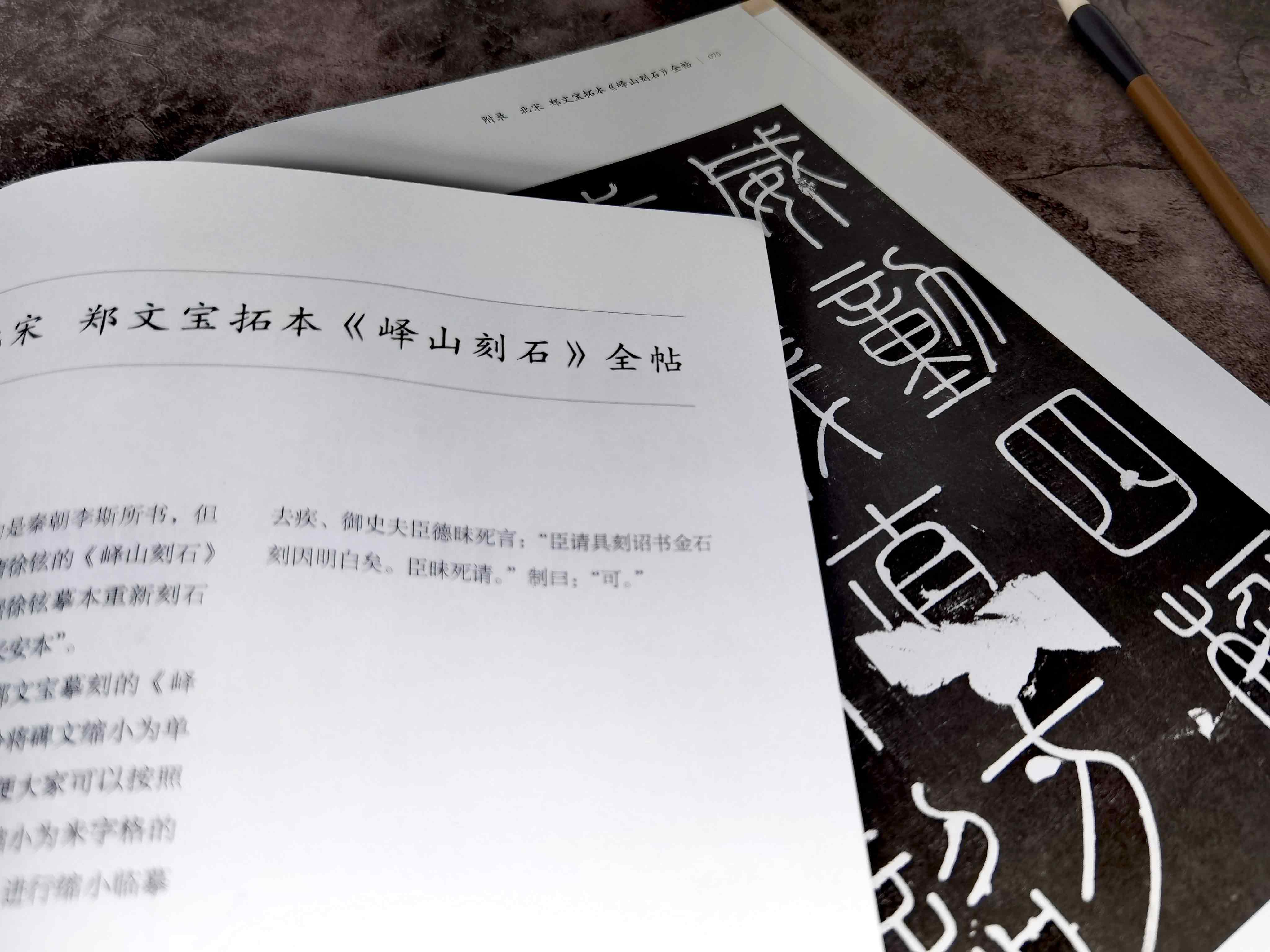 毛笔书法入门教程 零基础学篆书 零基础学隶书 零基础学楷书 零基础学行书 4册 篆书书法理论知识教学书籍 篆书临摹字帖入门自学书