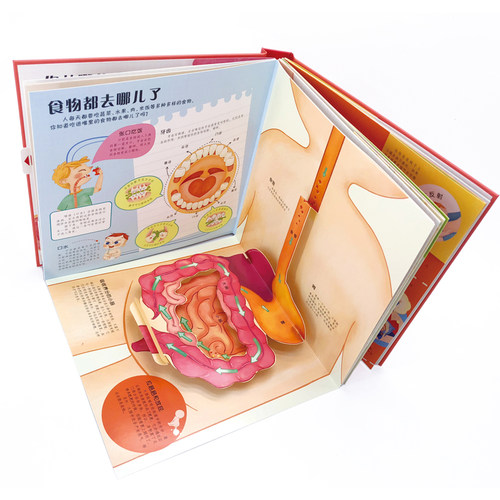 会动的科普立体翻翻书 可爱的身体 3-6-8岁幼儿科普百科读物 医学博士编 启蒙认知 幼儿早教 认识我们身体立体翻翻书 人体认知百科 - 图2