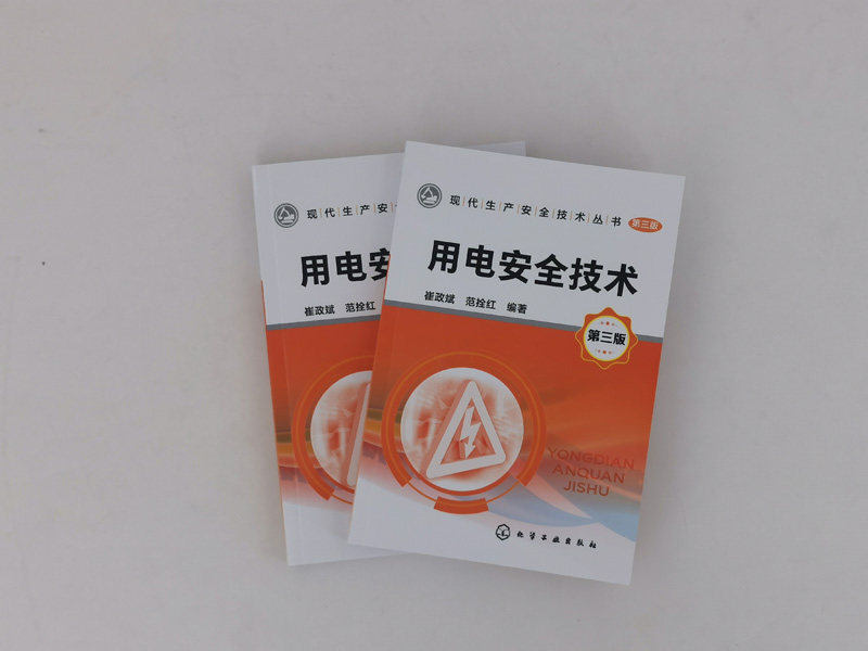 用电安全技术 第三版 电安全基础知识 电气绝缘屏护间距安全技术 电气防火防爆安全技术电工维修作业安全技术电气线路安全技术书籍 - 图0