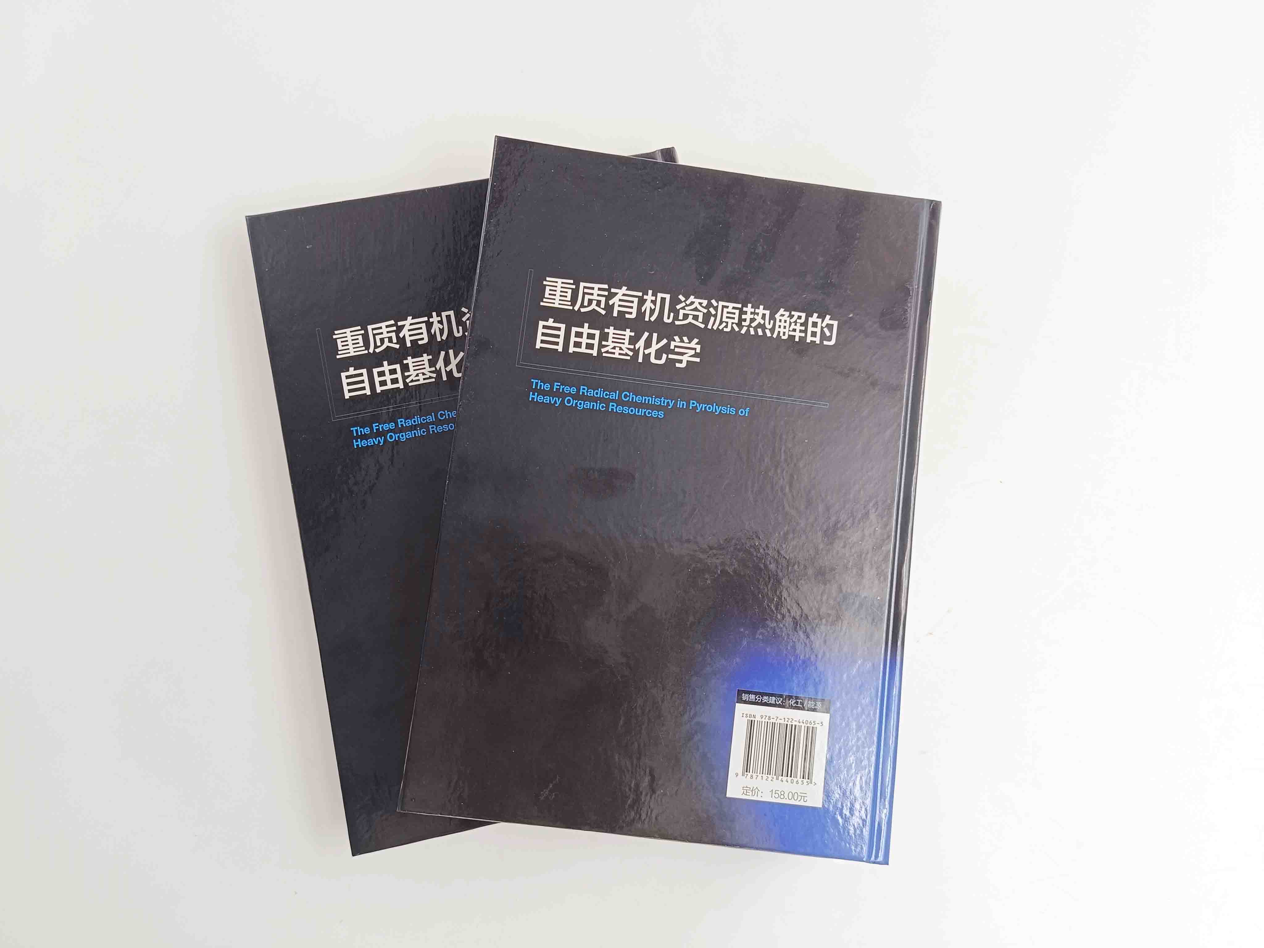 重质有机资源热解的自由基化学 煤热解及自由基反应 自由基及ESR 表征 热解及液化基本工艺 化工化学材料等领域科技人员应用书籍