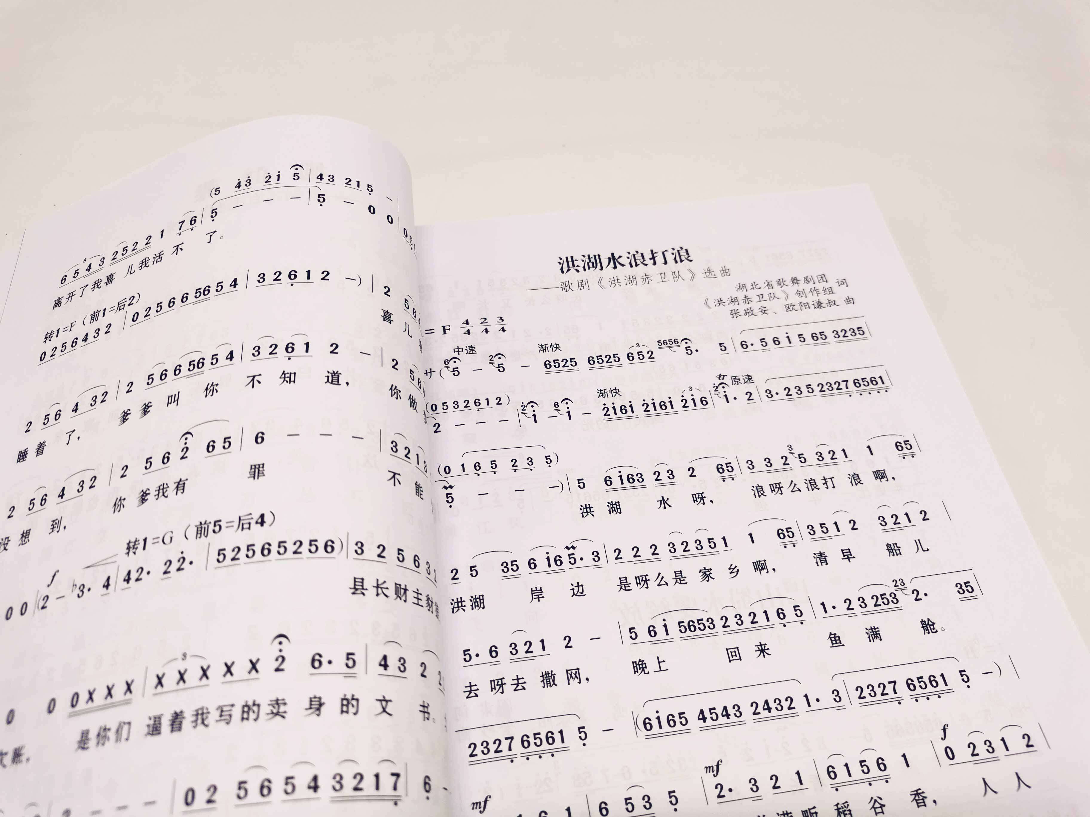 民歌经典365首 中国民族声乐作品精选 中老年人喜爱歌曲 民族声乐作品集 给爸妈中国现代民谣乐谱音乐鉴赏书 老红歌歌曲大全简谱书