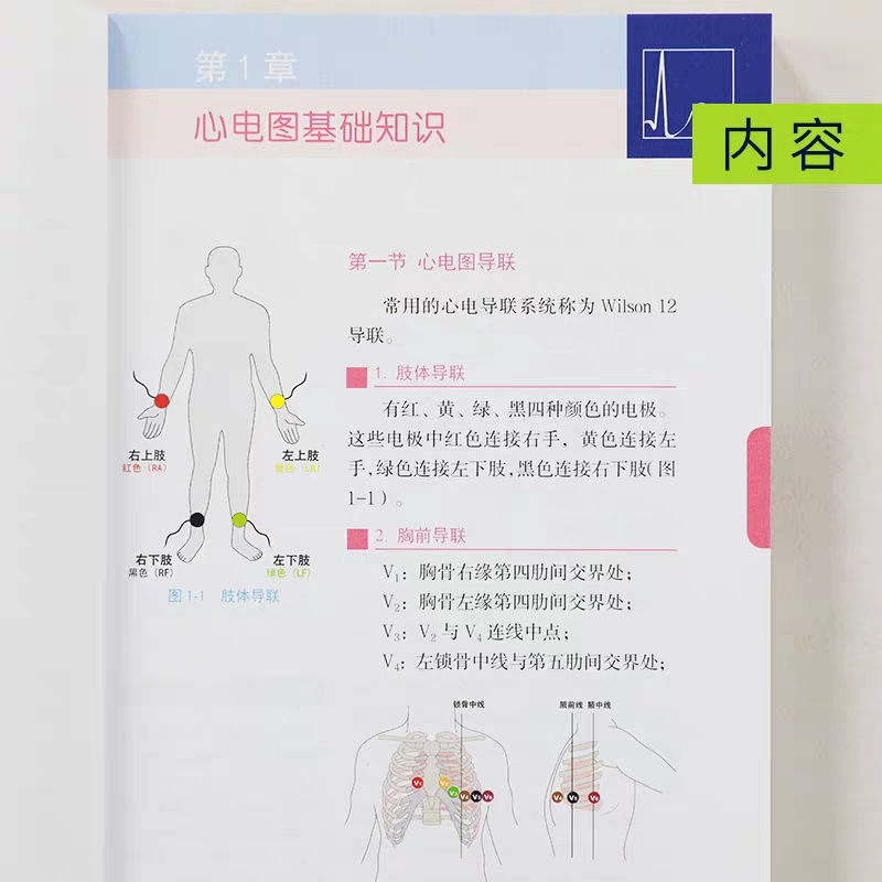 正版 心电图诊断掌中宝彩图版 苏立 心电图图形各种波段识别测量临床医师看心电图方法技巧 临床心电图诊断心电图识图图书心电图解 - 图2