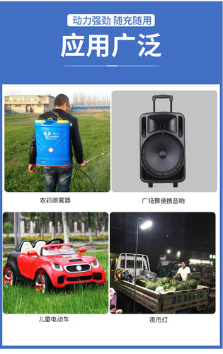 12V8ah伏电动农用喷雾器背负式打药机消防专用安UPS音响蓄电池瓶 - 图2