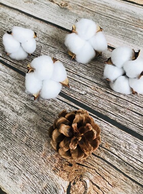 棉花干花网红ins材料diy永生花