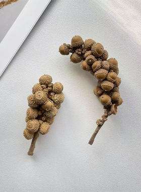 厚斗柯白柯 橡果串天然植物果实标本干果相框DIY材料拍摄布景道具