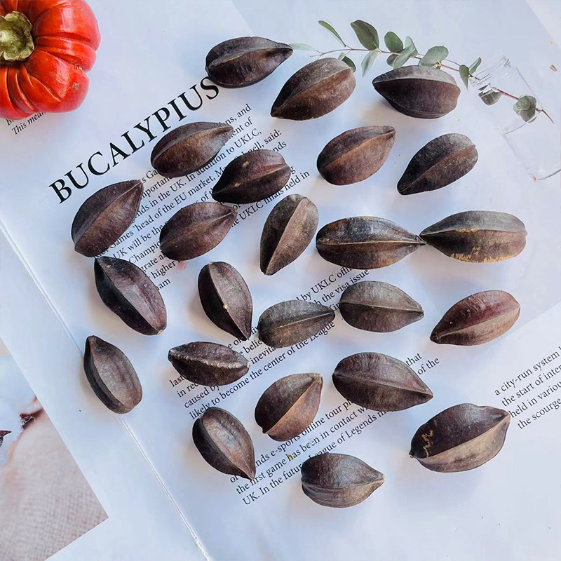 使君子五角桃天然植物干花diy留求子史君子手工香薰材料装饰品,淘宝优惠券,粉丝福利购,淘宝优惠卷