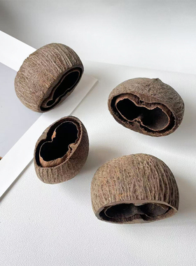 【卡卡壳】半碗壳进口天然植物果壳南美缸造景装饰diy材料香薰容