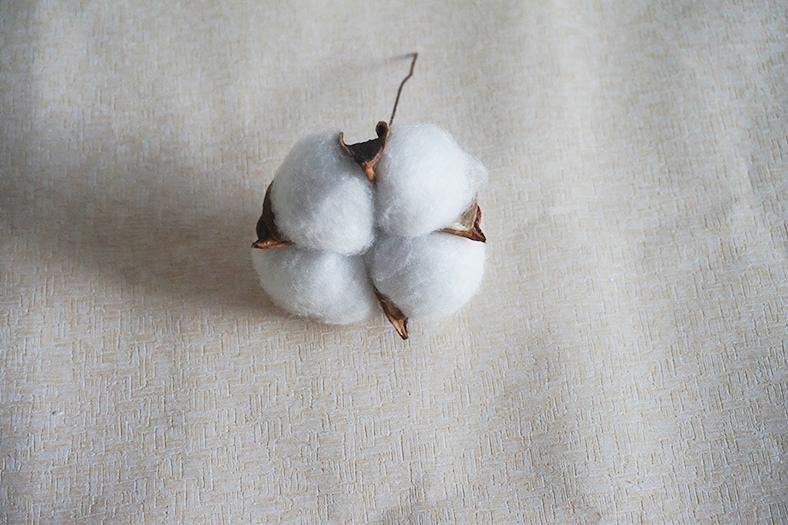 棉花干花包花束手工diy永生花单枝新品迷你客厅天然风干插花材料,淘宝优惠券,粉丝福利购,淘宝优惠卷