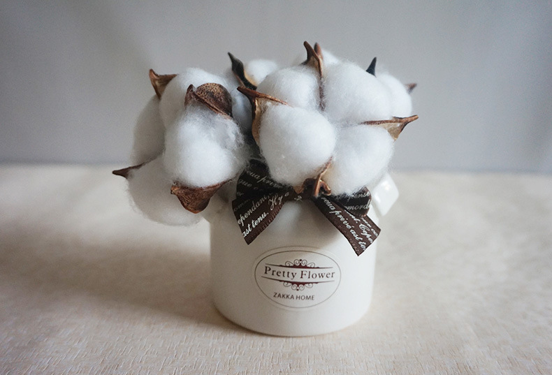 棉花干花包花束手工diy永生花单枝新品迷你客厅天然风干插花材料,淘宝优惠券,粉丝福利购,淘宝优惠卷