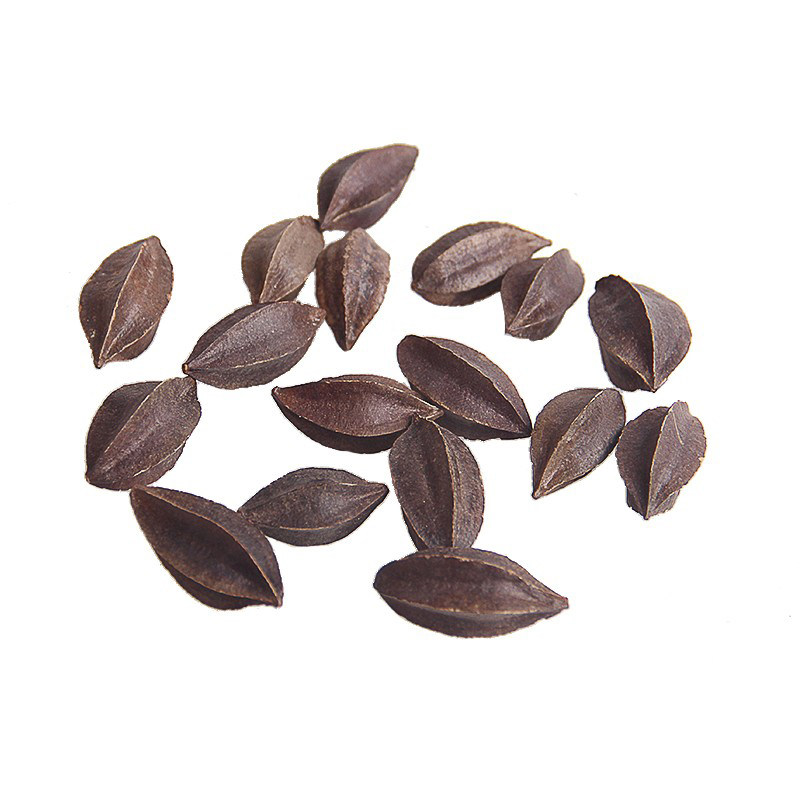 使君子五角桃天然植物干花diy留求子史君子手工香薰材料装饰品,淘宝优惠券,粉丝福利购,淘宝优惠卷