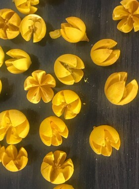 新款松果装饰木丝天然树叶杨桃核菩提叶籽手工diy干花包拍摄道具