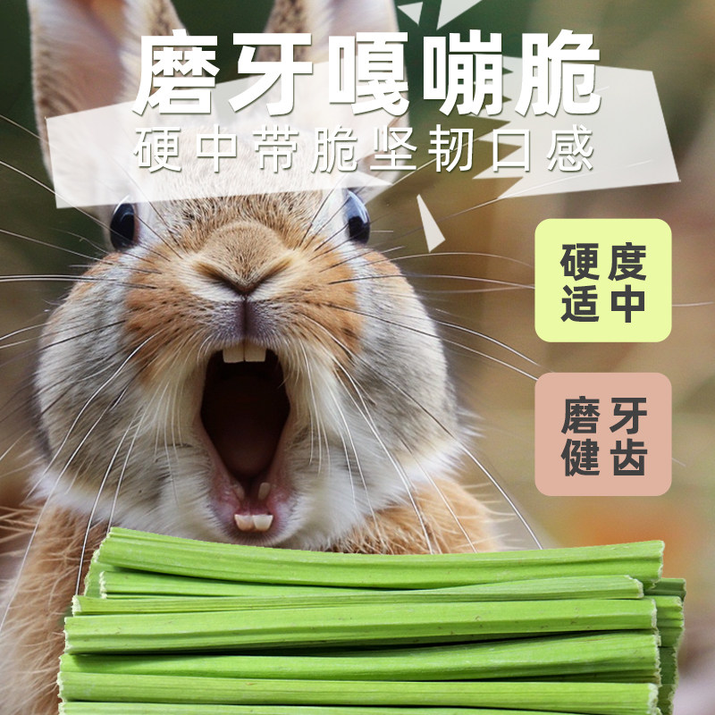 兔子磨牙棒兔兔专用木瓜茎侏儒幼兔小零食豚鼠龙猫荷兰猪宠物用品,淘宝优惠券,粉丝福利购,淘宝优惠卷