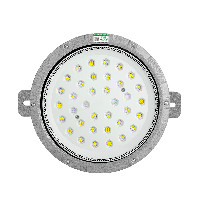 LED防爆吸顶灯隔爆型工业仓库化工厂房车间加油站圆形照明防爆灯 - 图3